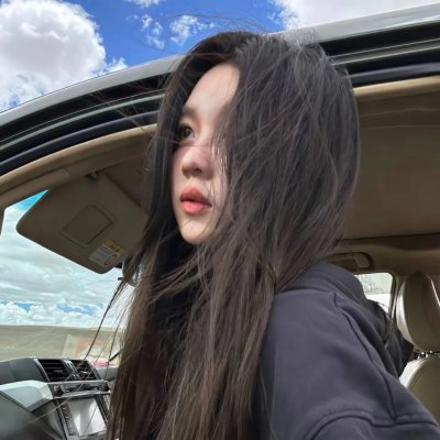 驯龙高手