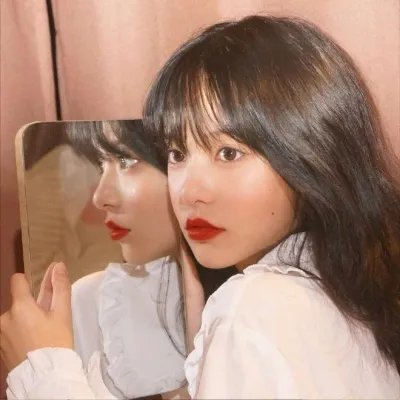 进入森林