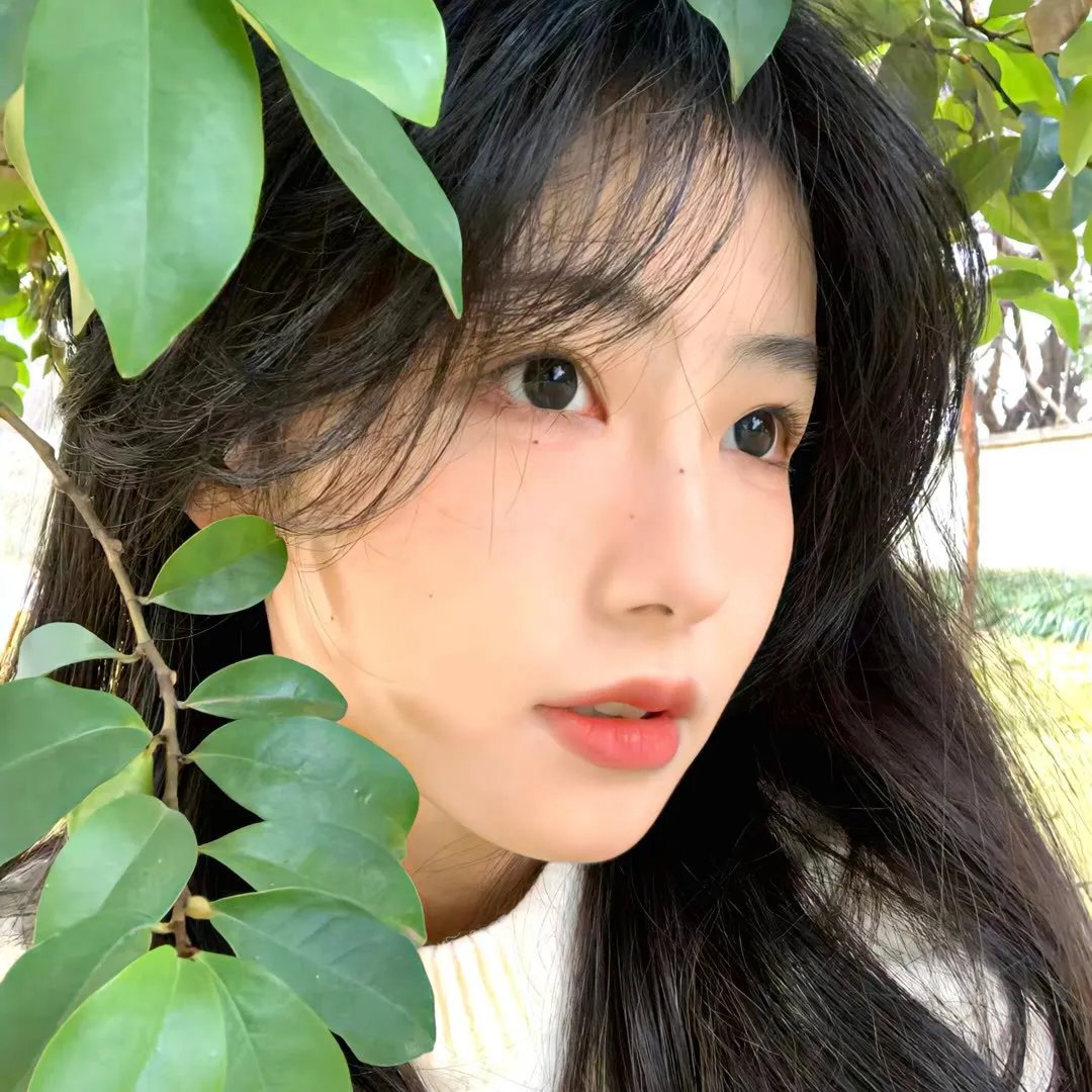 少女骑士物语